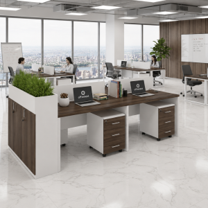 Alexander Workstation